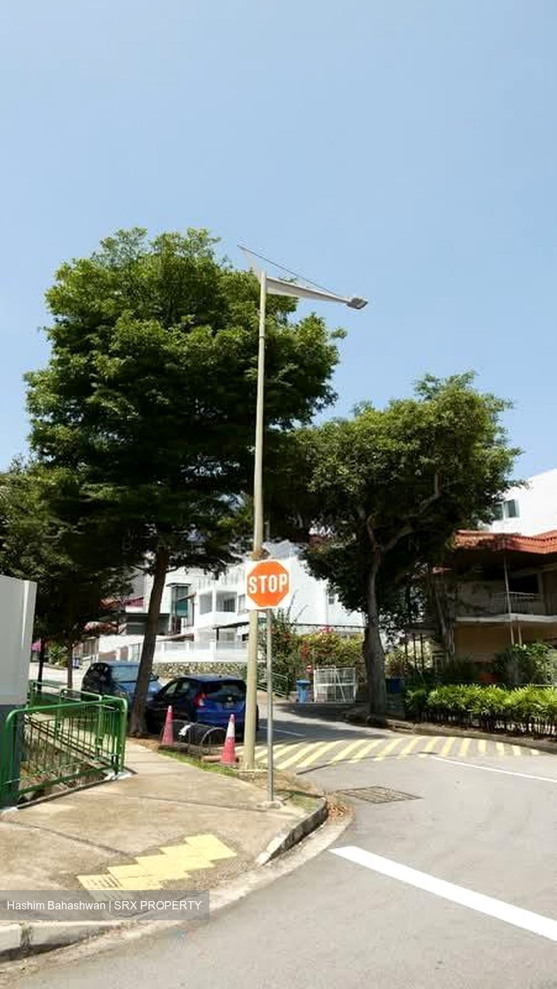 Peakview Estate (D16), Terrace #554148051